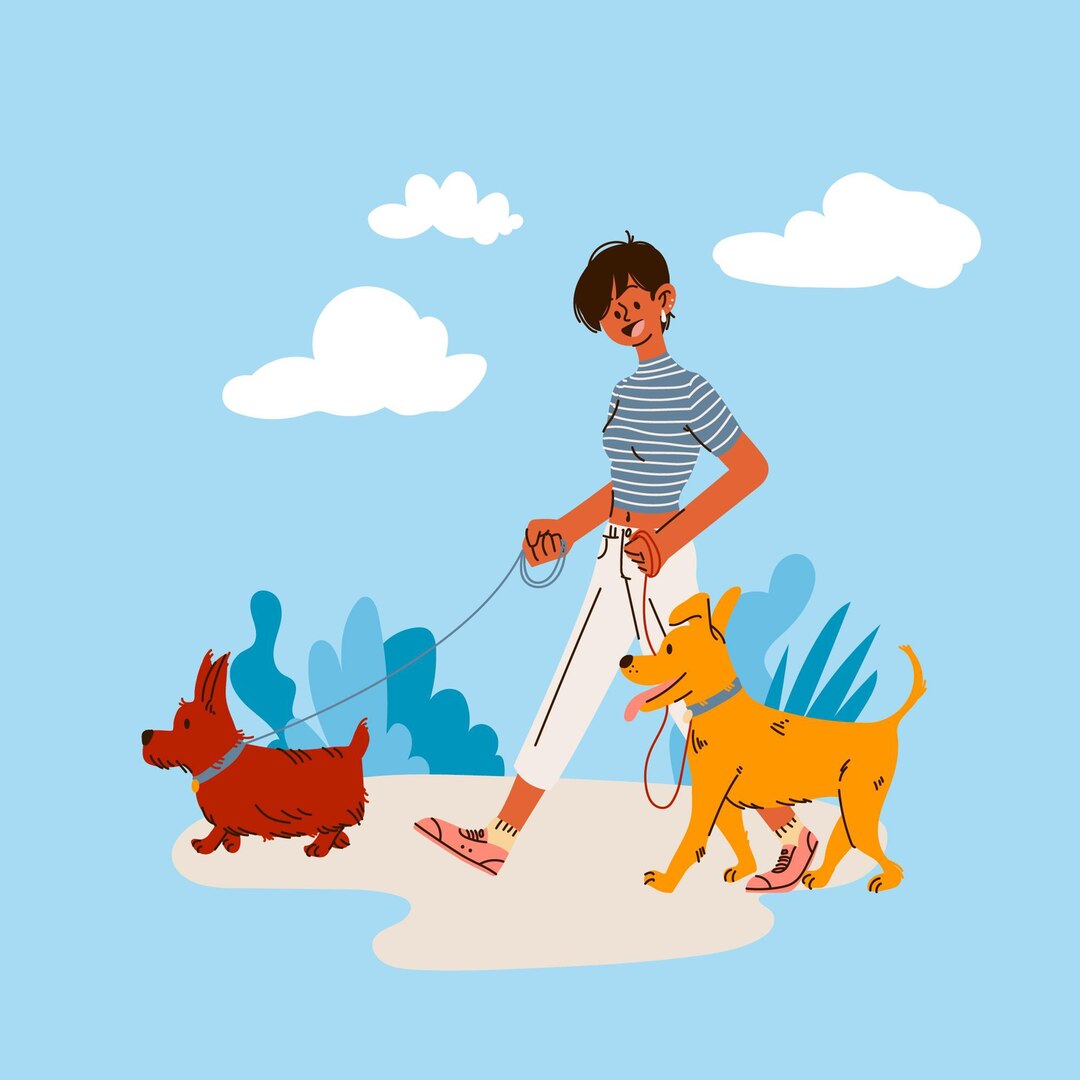 Dog Walking Lonehill