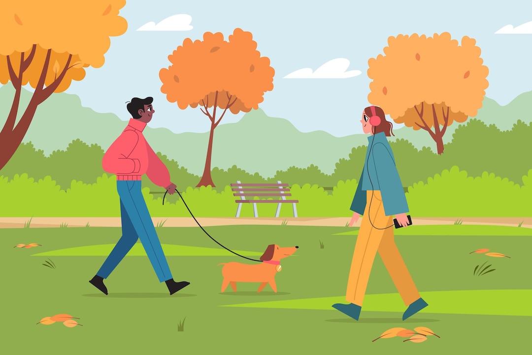 Dog Walking North Riding