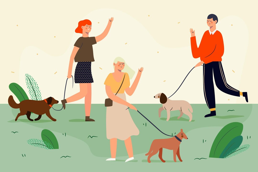 Dog Walking Fourways Gardens